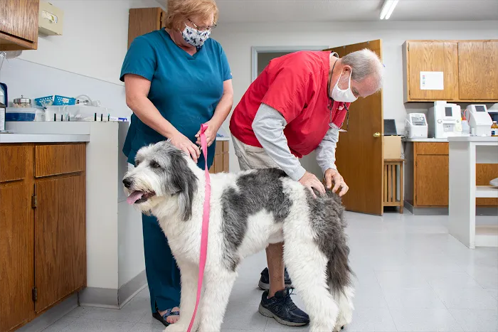 Rye Hill Veterinary Clinic 7