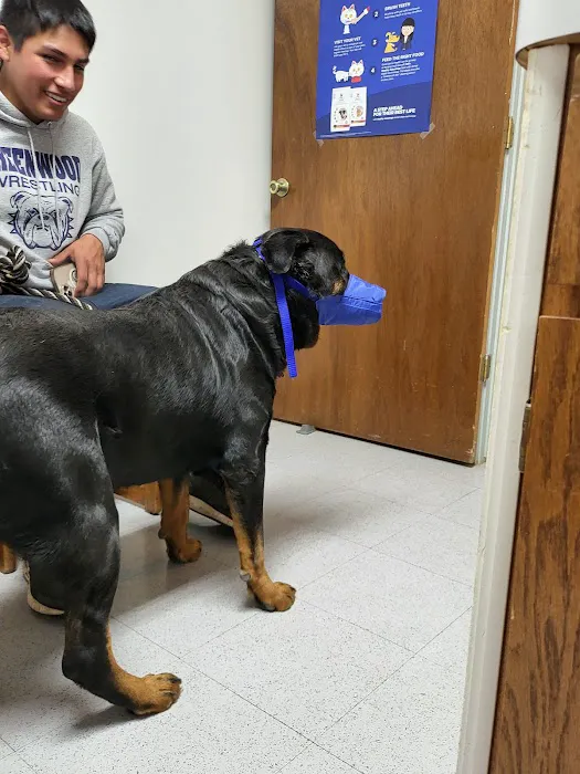Rye Hill Veterinary Clinic 2