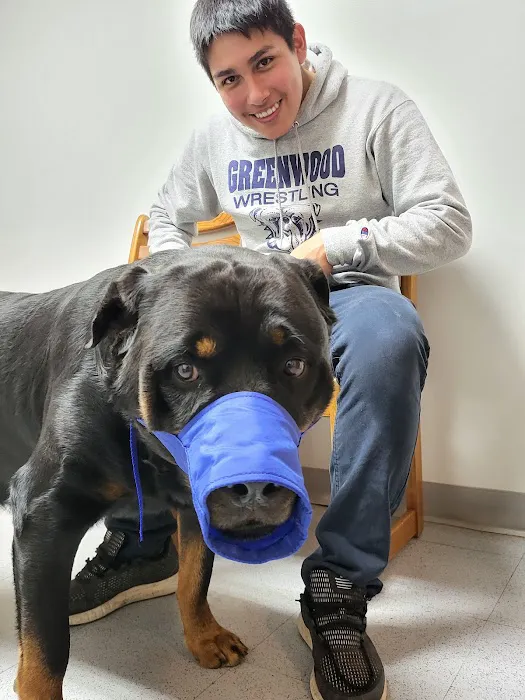 Rye Hill Veterinary Clinic 5