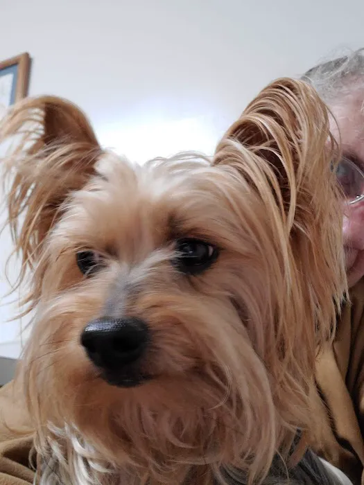 Rye Hill Veterinary Clinic 3