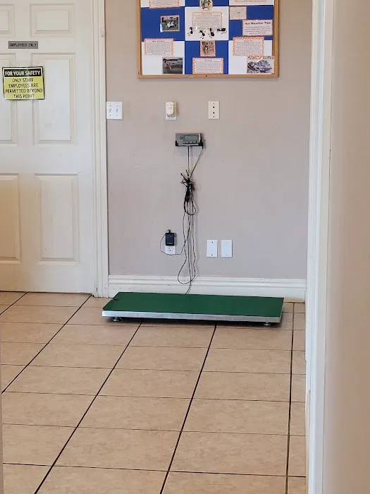 Fort Smith Animal Emergency 10