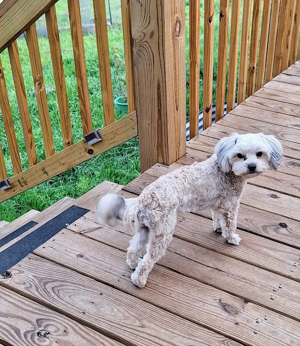 Heavener Animal Clinic 4