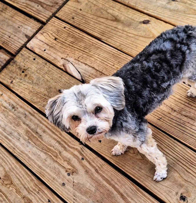 Heavener Animal Clinic 2