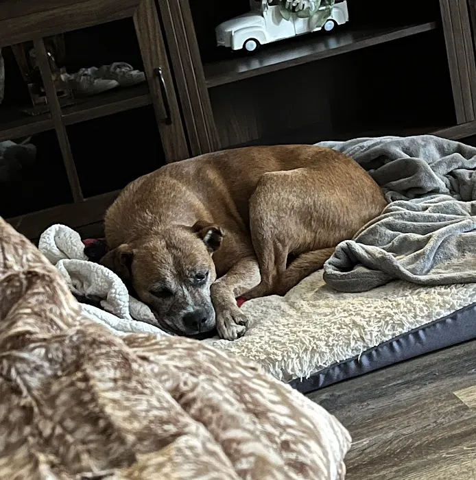 Heavener Animal Clinic 7