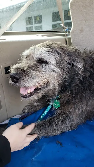 Winthrop Veterinary Hospital: Sheridan Mary DVM 1