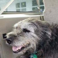 Winthrop Veterinary Hospital: Sheridan Mary DVM ico