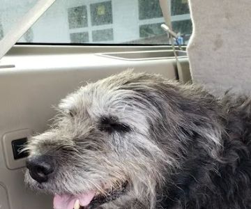 Winthrop Veterinary Hospital: Sheridan Mary DVM