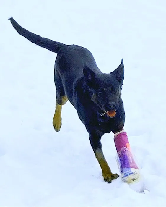 Winthrop Veterinary Hospital 8