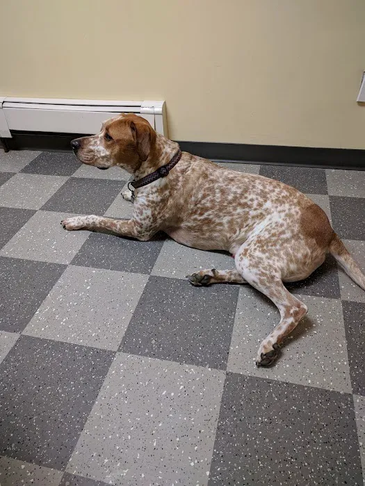 Winthrop Veterinary Hospital 2