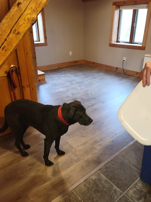 Pine Tree Veterinary Hospital 6