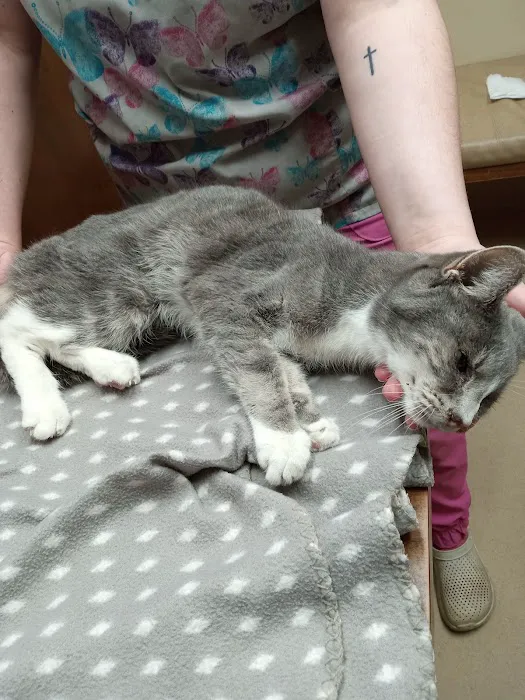 Pine Tree Veterinary Hospital 8