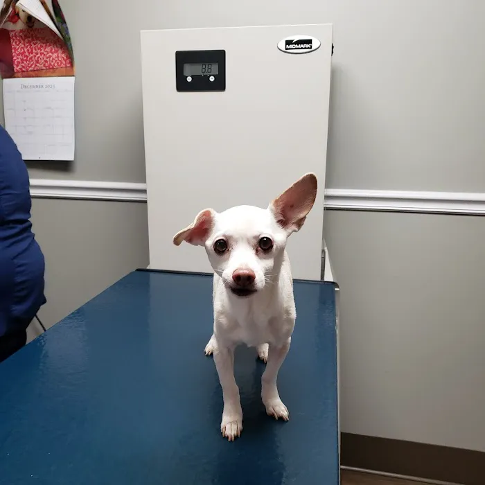 Kennebec Valley Animal Clinic 1