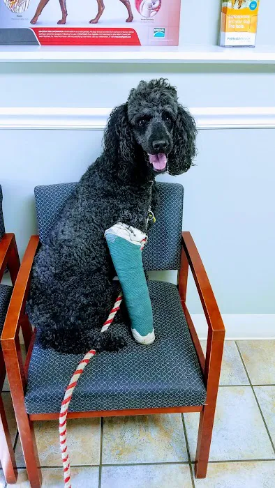 Kennebec Valley Animal Clinic 5