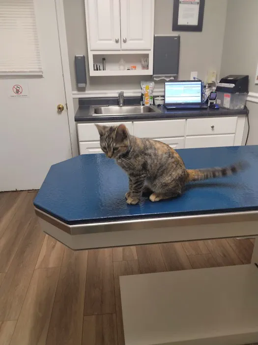 Kennebec Valley Animal Clinic 2