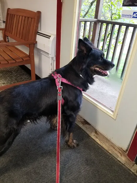 Companion Animal Clinic 8