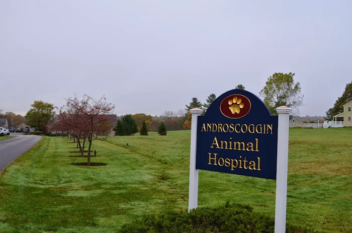 Androscoggin Animal Hospital 2