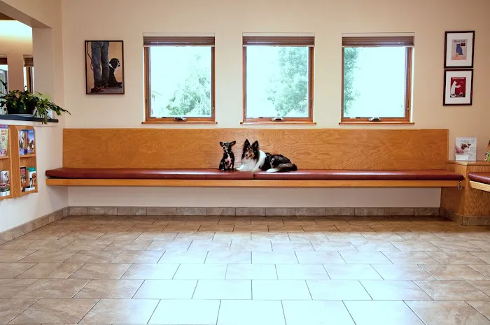 Androscoggin Animal Hospital 9