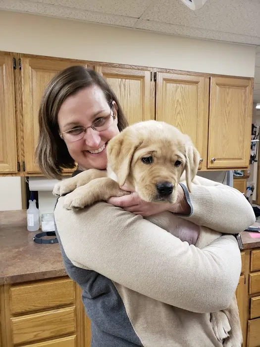 Androscoggin Animal Hospital 1