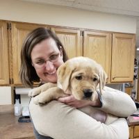 Androscoggin Animal Hospital ico
