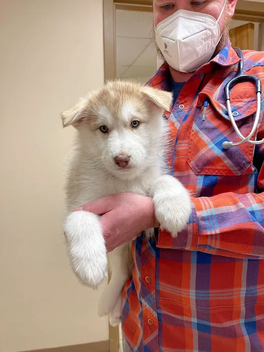 Androscoggin Animal Hospital 7