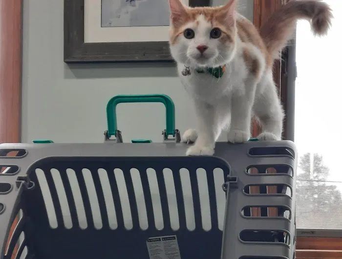 VCA Bath Animal Hospital 5
