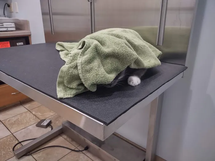 VCA Bath Animal Hospital 9