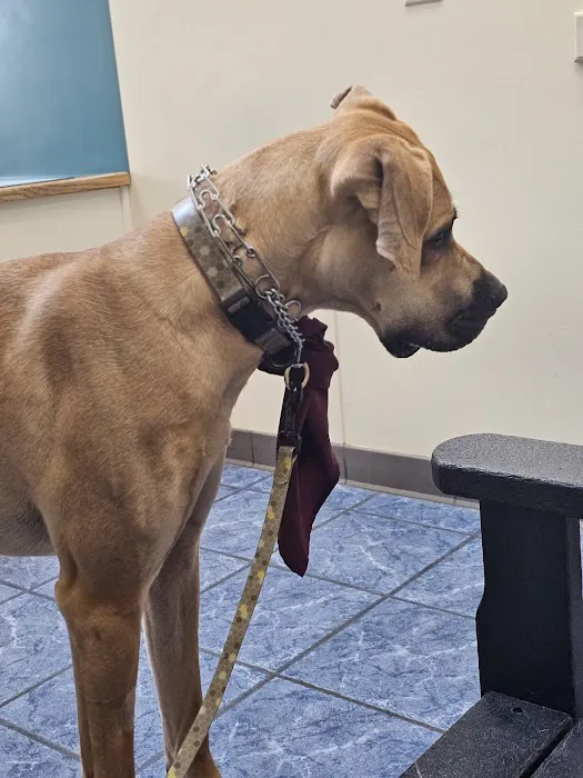Milton Veterinary Hospital 5