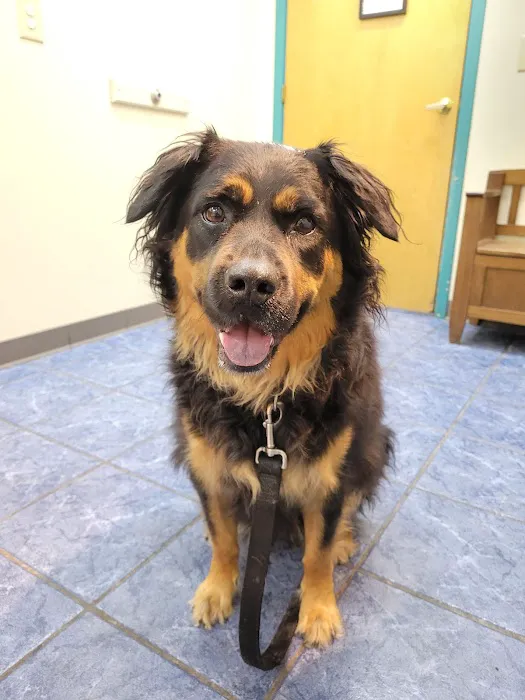 Milton Veterinary Hospital 3