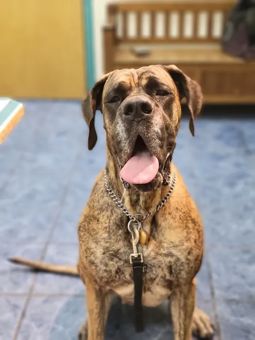 Milton Veterinary Hospital 4