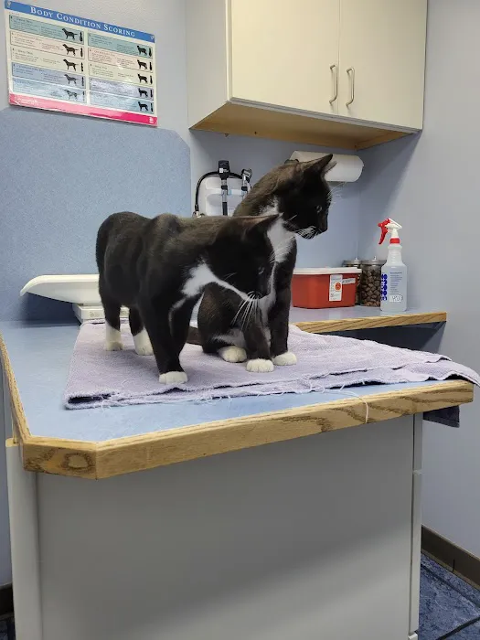 Milton Veterinary Hospital 2