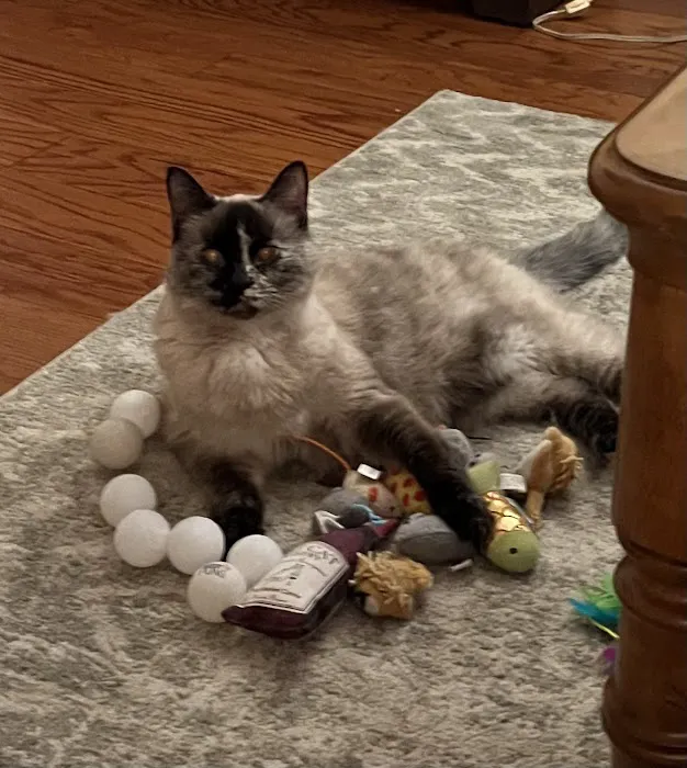 Milton Veterinary Hospital 10