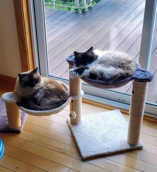Milton Veterinary Hospital 8