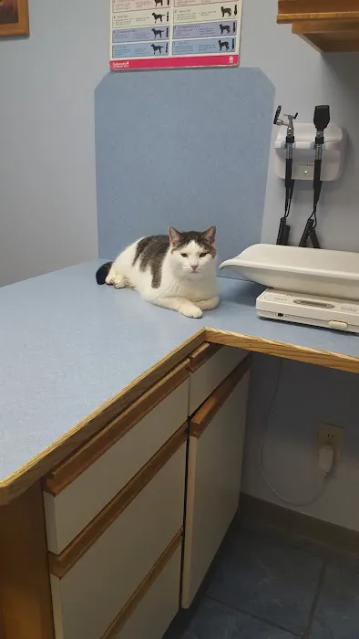 Milton Veterinary Hospital 9