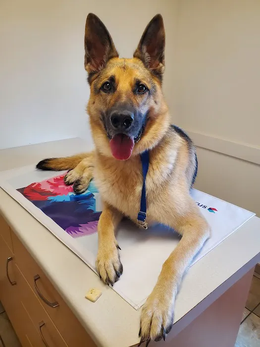 Petit Brook Veterinary Clinic 7