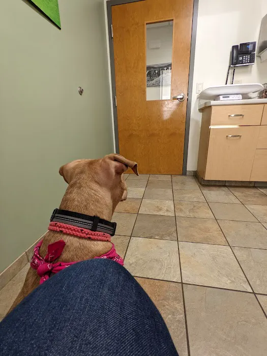Petit Brook Veterinary Clinic 9