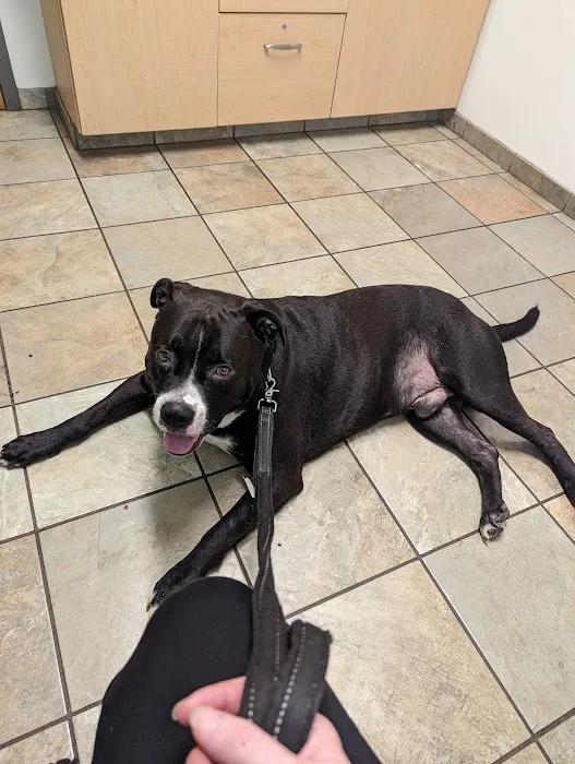 Petit Brook Veterinary Clinic 6
