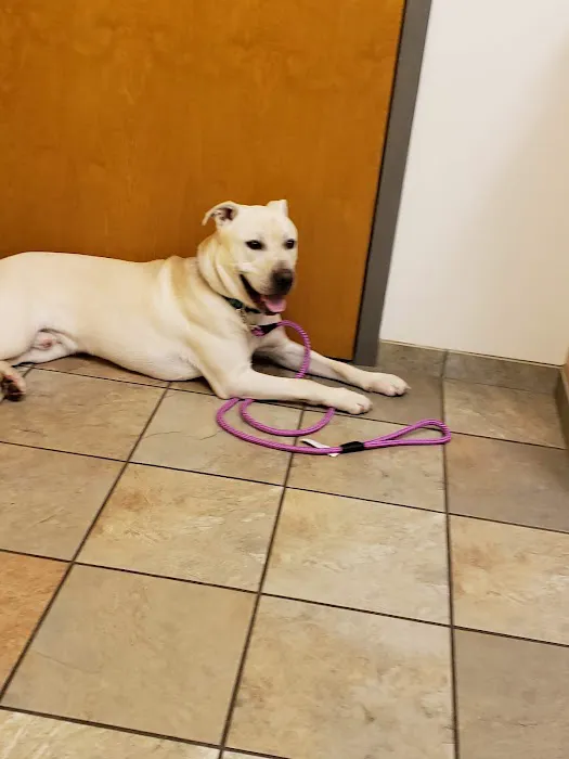 Petit Brook Veterinary Clinic 4