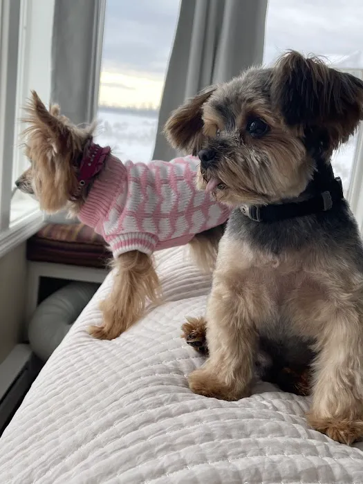 Plattsburgh Animal Hospital 7