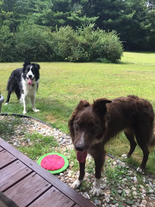 Plattsburgh Animal Hospital 9