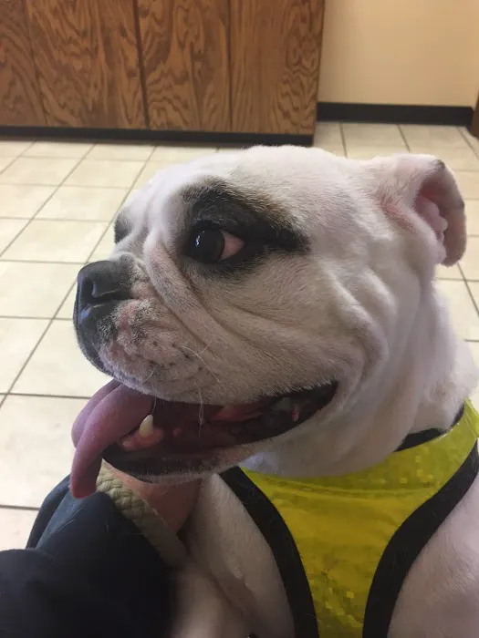 Plattsburgh Animal Hospital 8