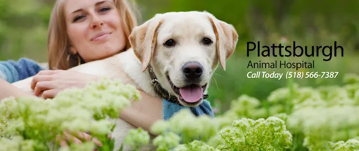 Plattsburgh Animal Hospital 1