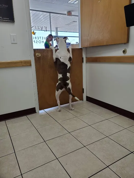 Eagle's Nest Veterinary Hospital 4