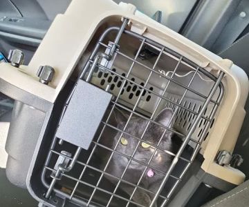 Eagle's Nest Veterinary Hospital