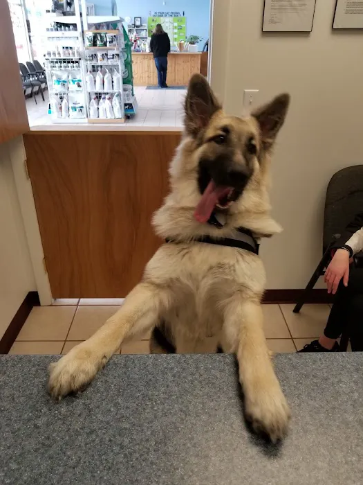 Eagle's Nest Veterinary Hospital 9