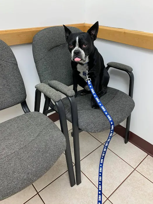 Eagle's Nest Veterinary Hospital 8