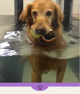 Eagle's Nest Veterinary Hospital 5