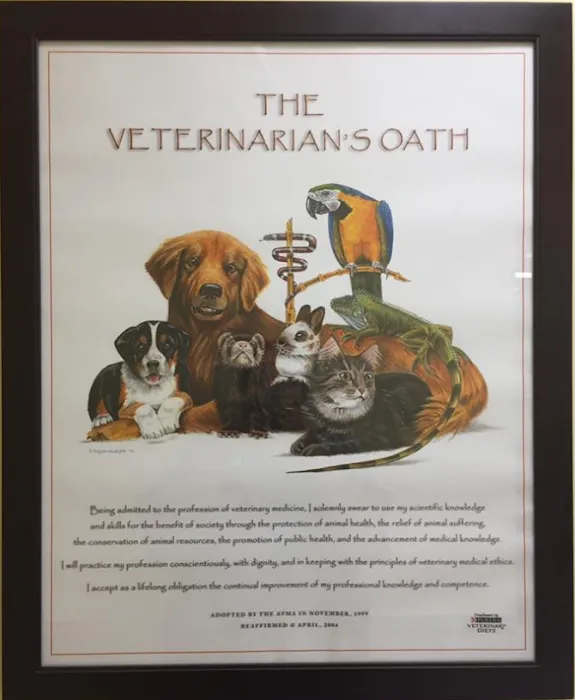 Palmer Veterinary Clinic 10
