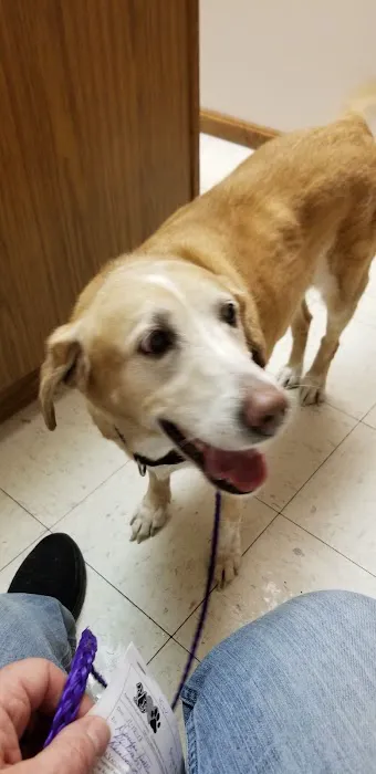 Adirondack Park Pet Hospital 5
