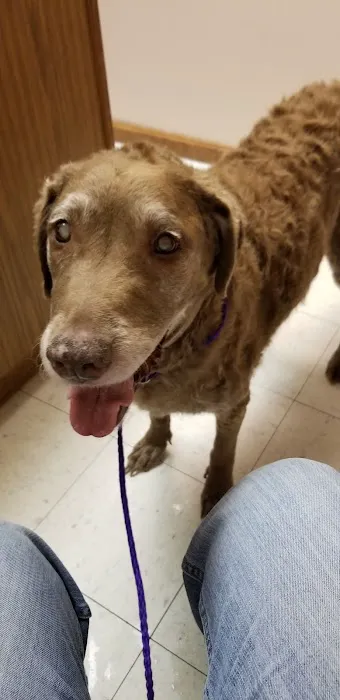 Adirondack Park Pet Hospital 3