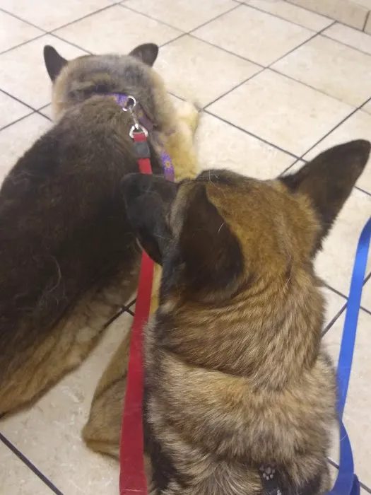 Apple Country Veterinary Hospital 5